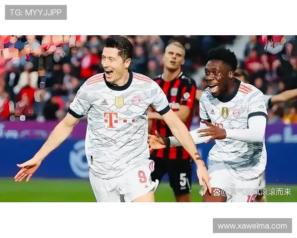 德甲球队如何接受球迷批评？德国足球文化中的对话机制